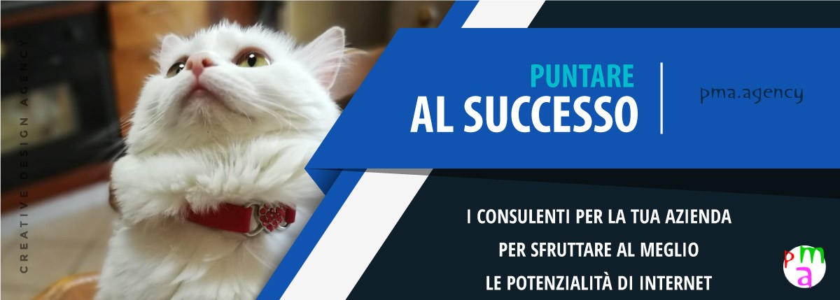 punta al successo con pma